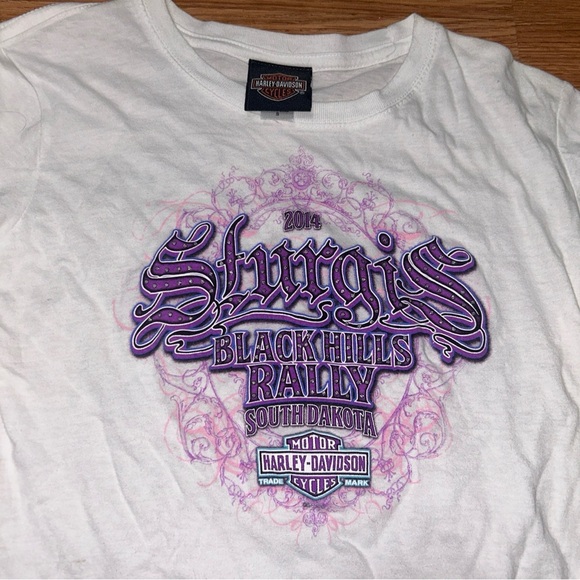 Harley Davidson Strugis Black Hills Rally Strugis Tee Size S - Picture 4 of 6